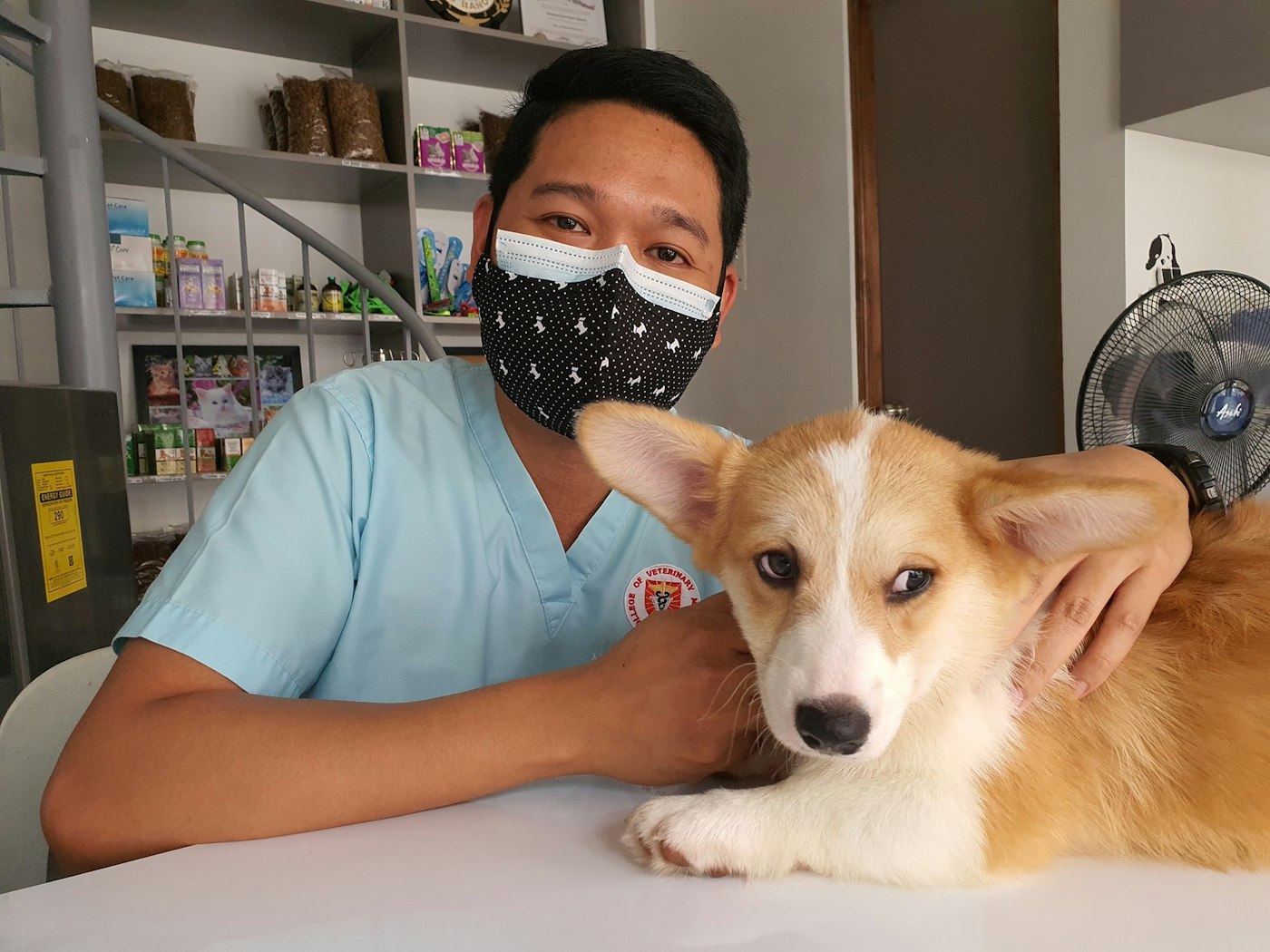 Dr. [Name], Veterinarian · surgery